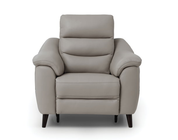 Power Recliner