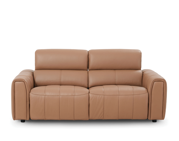 Large Power Recliner