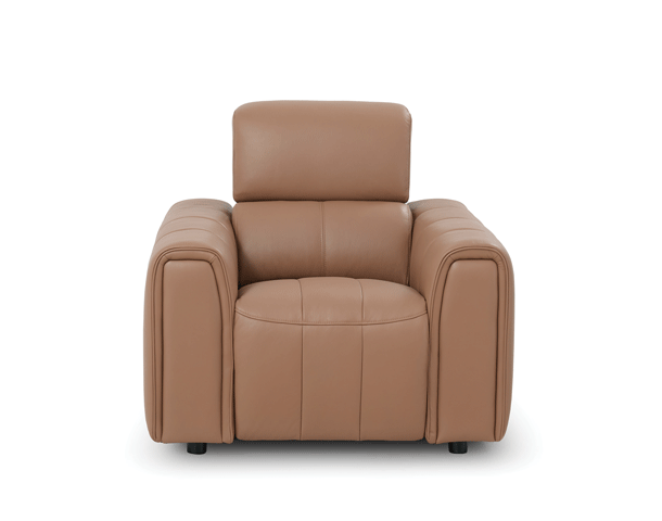 Power Recliner